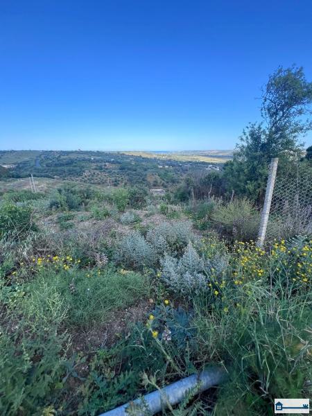 PHOTO-2025-07-09-11-42-40 (6).jpg